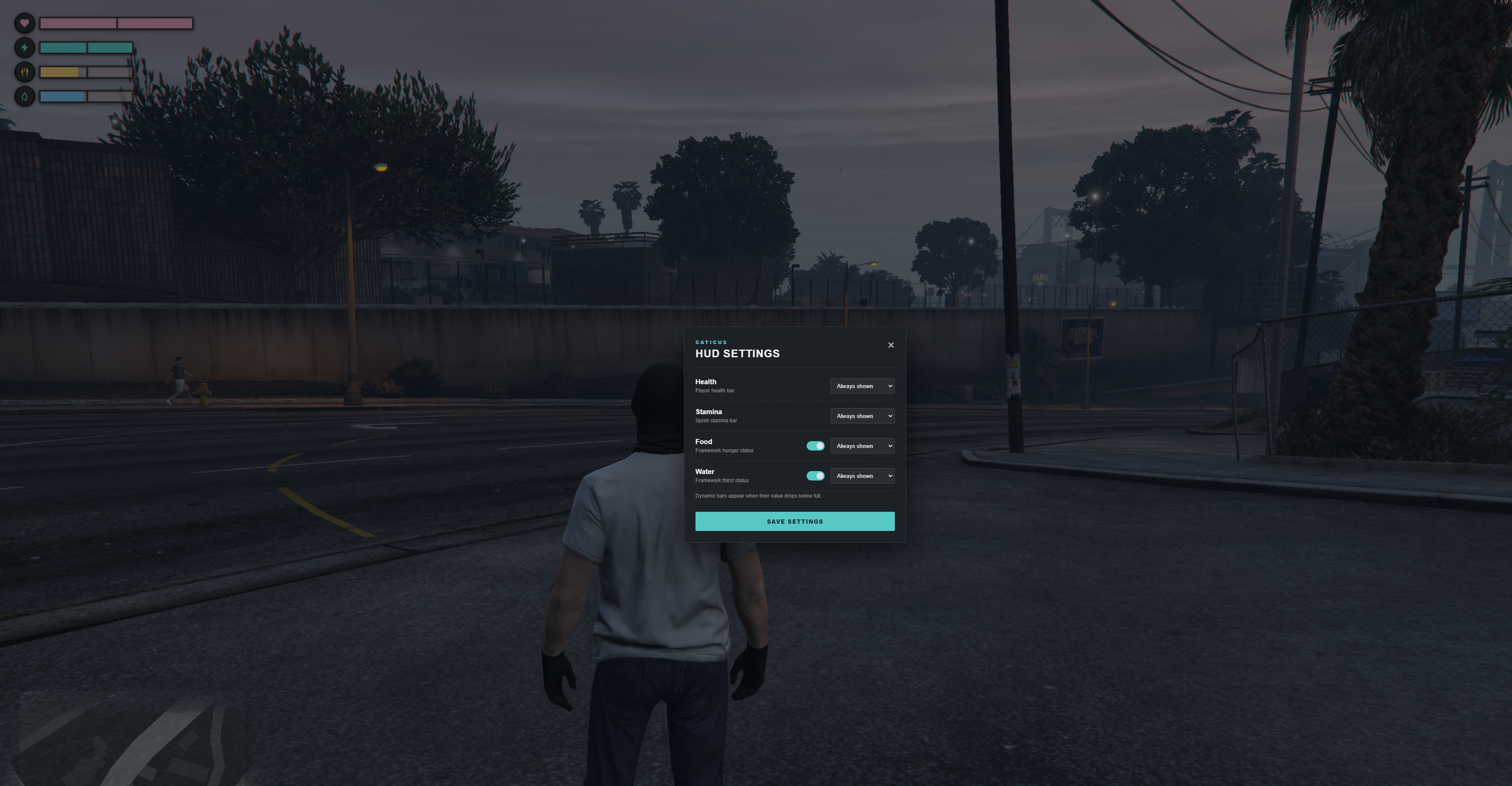 FiveM HUD SETTINGS menu for GTA 6 style health, stamina, food, and water bars